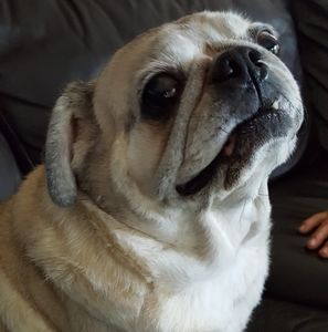 Meet your Posher, Lynn